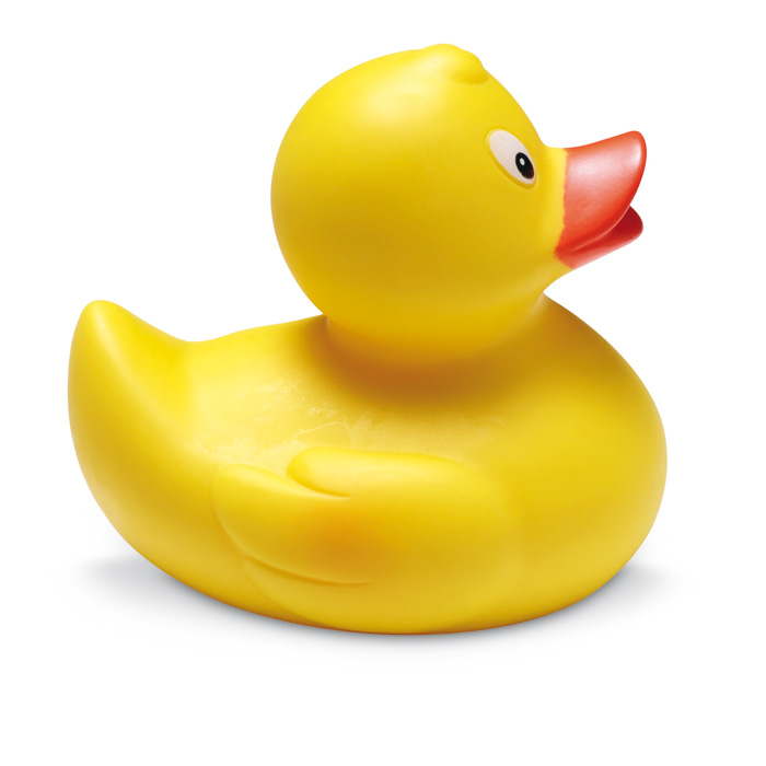 DUCKY